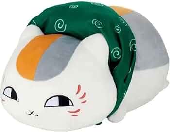 51SeRAFcH5L._AC_UF350,