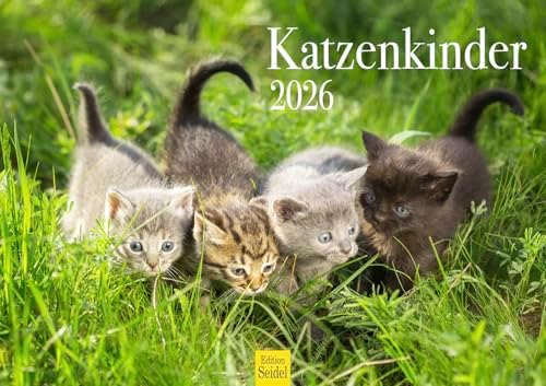 Edition Seidel Premium kalender Kreta 2026 formaat DIN A3 wandkalender