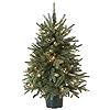 National tree company artificial christmas tree for entrances includes white lights and pot everyday collections 3 ft  urban country home decor