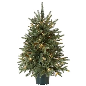 Nationaltreecompanyartificialchristmastreeforentrancesincludeswhitelightsandpoteverydaycollections3ft Urban Country Home Decor National tree company artificial christmas tree for entrances includes white lights and pot everyday collections 3 ft urban country home decor