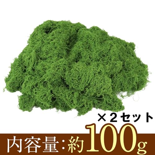TMR.Breath G 人工苔 造花 屋内/屋外 メンテナンス要らず DIY ハンドメイド 虫が寄ってこない (グリーン) 100ｇ×２セット 200ｇ [3]