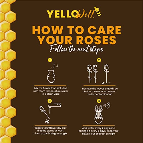 Yellowell Hot Pink Fresh Roses And 6 More Colors 12, 24, 50 Or 100 Roses –Delivery Between 4 And 5 Business Days – No Deliveries On Weekend – 24 Luxury Fresh Roses. #TOP4