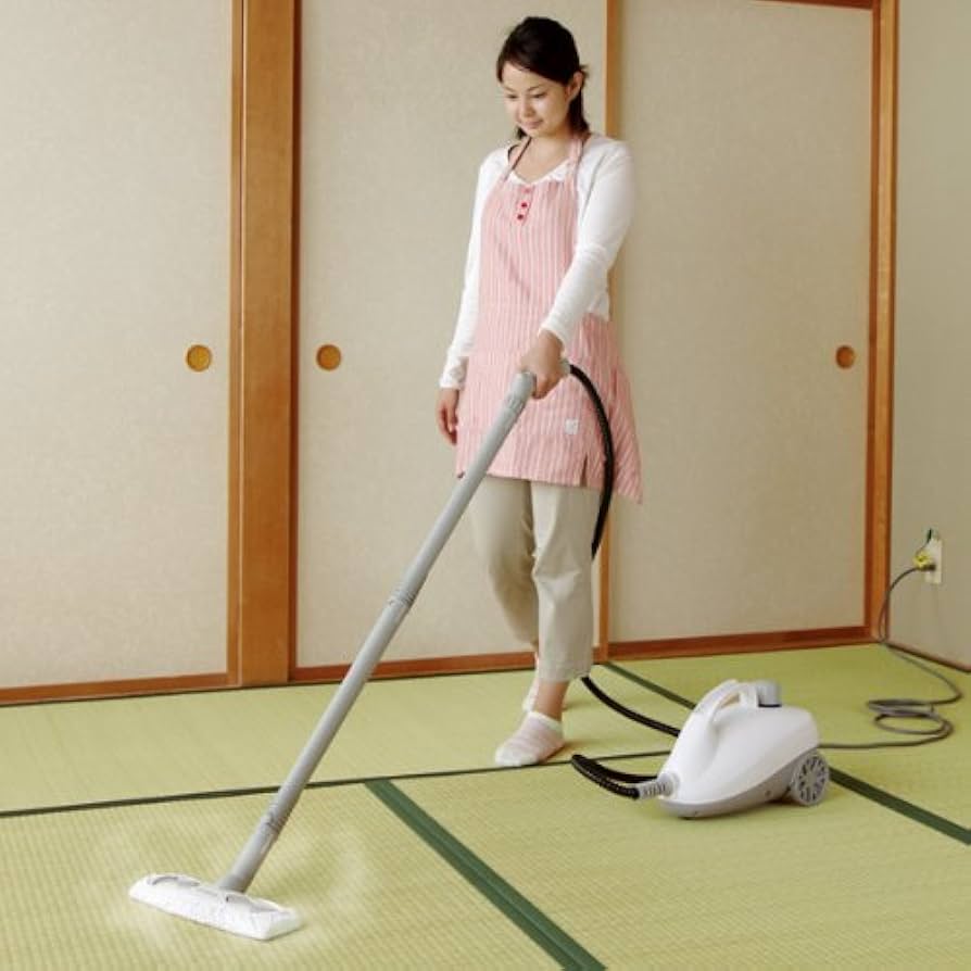 Amazon.co.jp: アイリスオーヤマ スチームクリーナー ホワイト