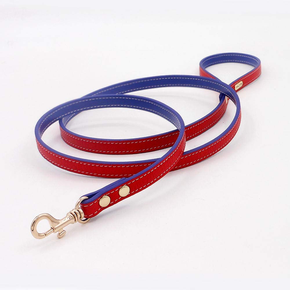 Correa para Mascotas Collar de Cuero Genuino para Mascotas, Collar para Perros Boutique, Lujoso Collar de Cuero Suave para Perros, diseñador distinguido Exclusivo de Plomo-Verde_S