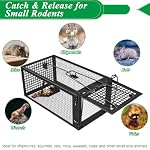 2 Packs Humane Live Mouse Rat Trap Rodent Chipmunk Traps Catch and Release | Black Iron Galvanization, Reusable Safe for Children & Pet Indoor Outdoor - Image 4