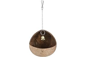 Natural Coconut Shell Parakeet Ornament