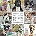 Wholistic Pet Organics Diatomaceous Earth - Food Grade for Dogs & Cats - 13 Oz - Multi Use Powder - Pet Safe Non-Chemical Freshwater Sourced Silica Supports Overall Health - Made in USA - 105 Scoops