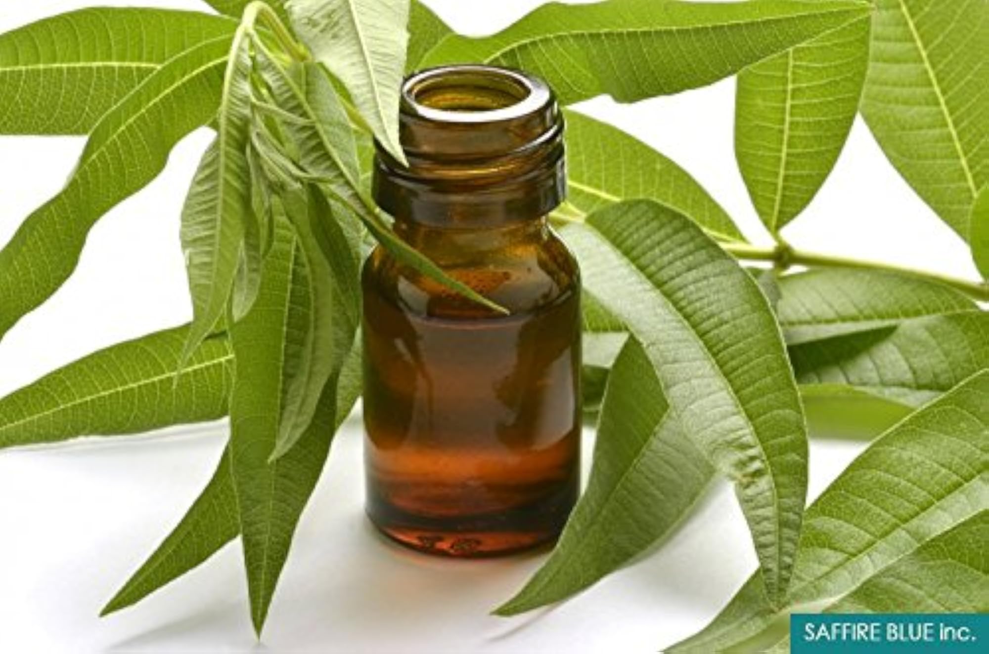 100ml Jasmine & Citronella Highly Fragranced Aroma Essential Oil
