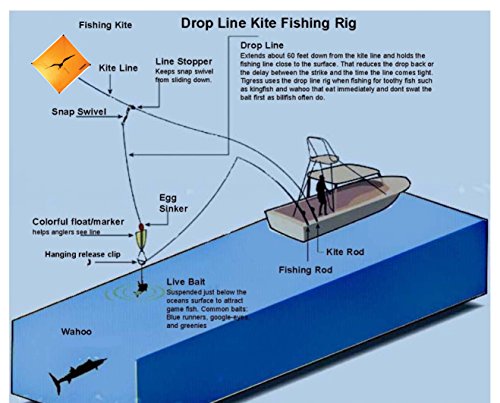 Tigress Weighted Medium Kite Fishing Line Markers #TOP1