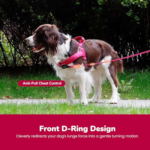 Image of Didog No Pull Dog Harness for Small Dogs, Breathable Mesh Padded,Hot Pink,S | Quick Fit, Easy On and Off, Lightweight, Reflective Vest Harness for Night Safty, Easy for Walking and Training, Chest 18-22 inch
