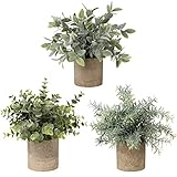 【Dimension & Material】 3er Pack Mini Kunstpflanzen. Die künstlichen Unechte Pflanzen messen ca.21cm bis 23cm hoch, von der Oberseite der Pflanze bis zum Boden des Topfes und 20cm bis 21cm breit, von Spitze zu Spitze der Blätter. Die Papierzellstofftöpfe messen ca. 7.7cm groß und 7.6cm breit. Diese künstlichen Pflanzenblätter bestehen aus antiallergischen PE-Materialien, sind umweltfreundlich und langlebig