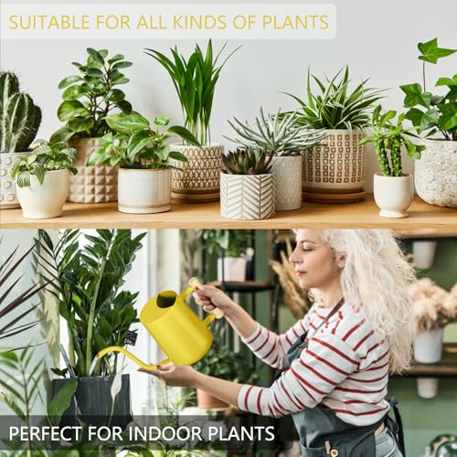 Image of Watering Can Indoor Plants, 35oz Small Stainless Steel Metal Watering Can Modern Decorative Watering Pot with Long Spout for Indoor House Plant Bonsai Garden Flowers (Yellow)