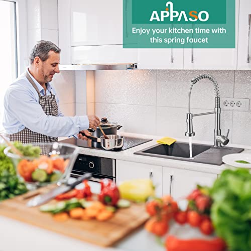 llave de cocina marca APPASO (2)