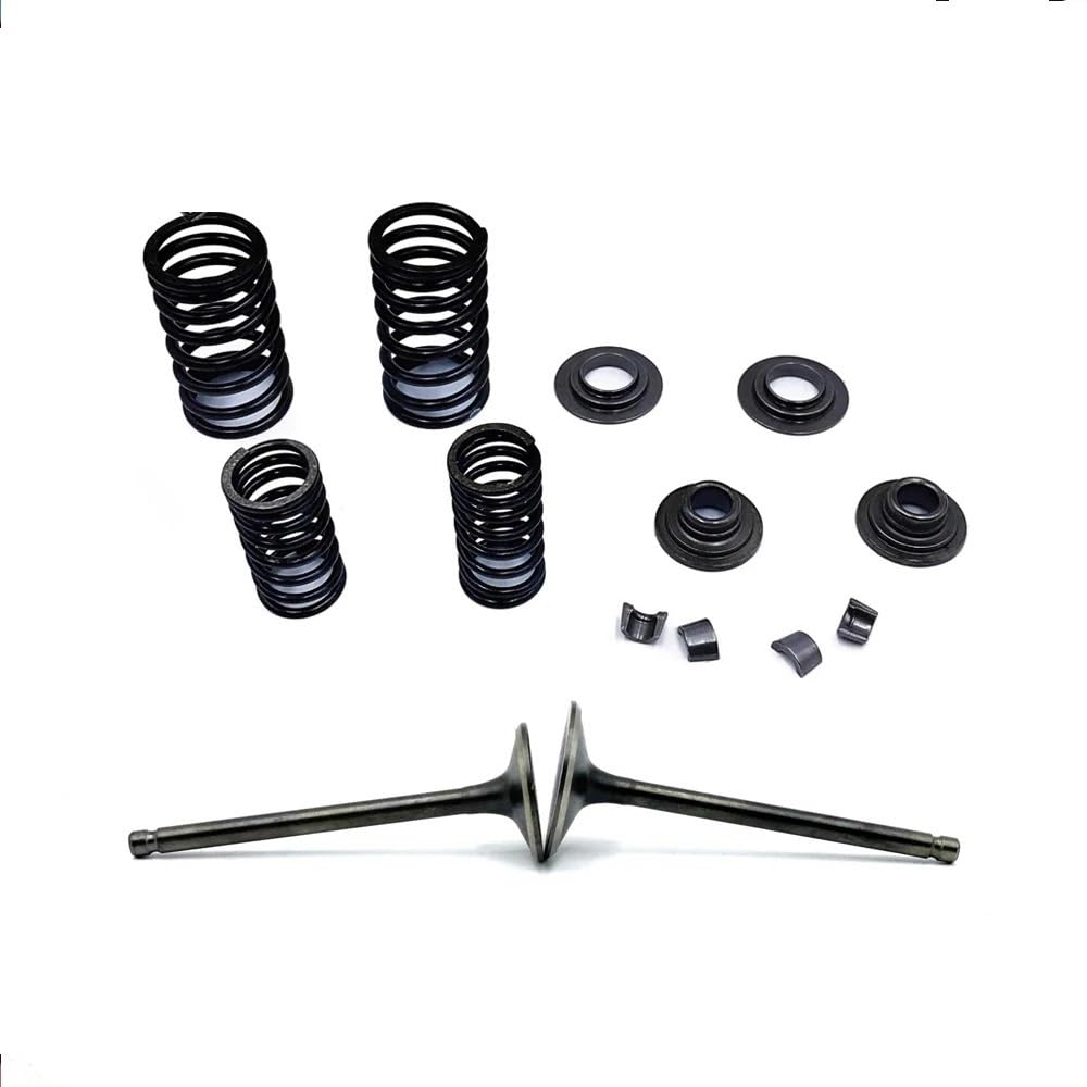 Kit de reconstrucción CF250 para entrada CH 250 CF CN de 172mm 6