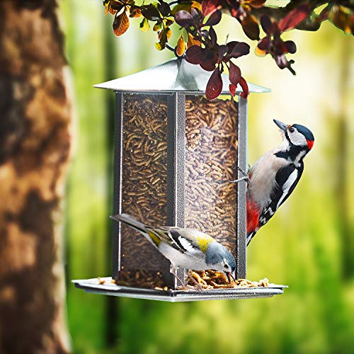 Paul's Mühle Mehlwürmer getrocknet 5 kg Premiumqualität