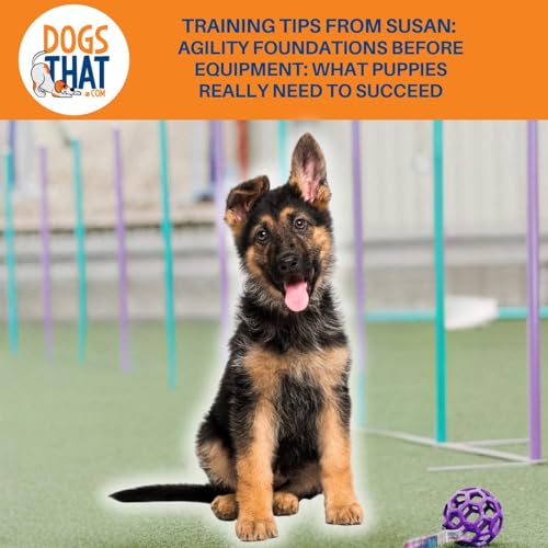 Training Tips From Susan: Agility Foundations Before Equipment: What Puppies Really Need To Succeed cover art