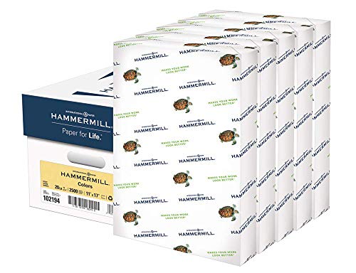 Image of Hammermill Colors Ivory, 20lb, 11 inch x 17 inch, Ledger, 2500 Sheets /5 Ream Case (102194C)