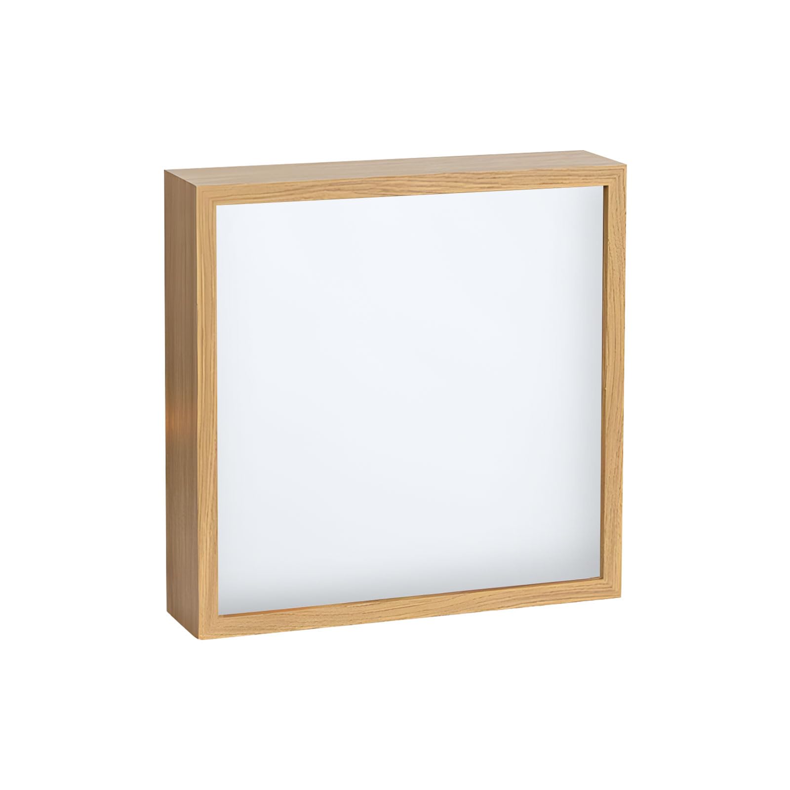 JSGHGDF Surprise Display Frame for Interior Design with Hidden Compartment and Sustainable Build Dustproof Memory Frame
