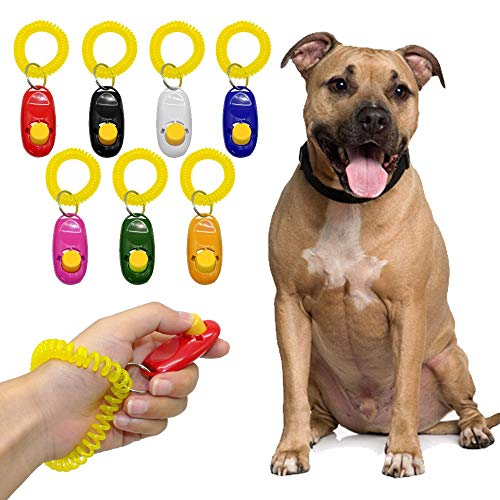 Image of Pet Training Clicker with Wrist Strap for Bird /Parrots /Cockatiel /Budgies /African Grey /Cockatoo (Pet Training Clicker-3)