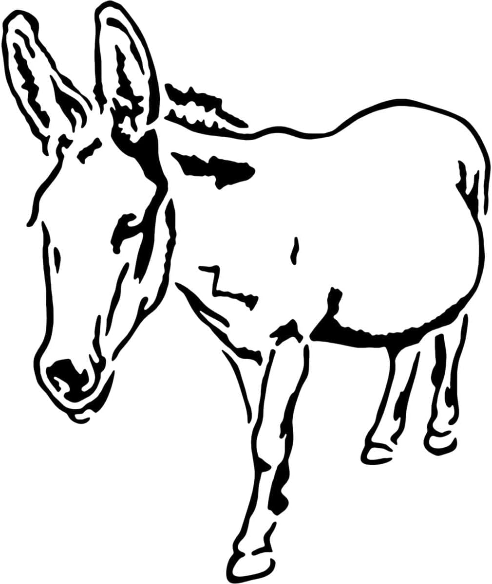 Azeeda 'Friendly Donkey' Reusable Stencil – Durable Decorative Template for Painting and Spraying on Walls, Tiles, Wood, Fabric & Craft Projects - XXL (A2) (WS00022101)