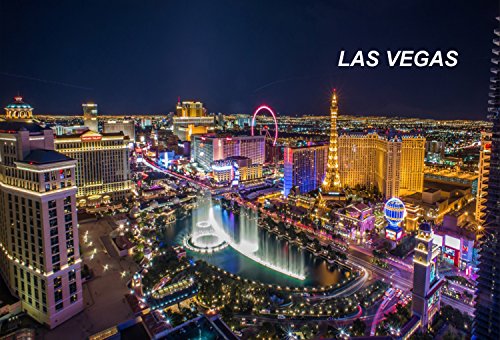 Nevada USA United States Fridge Refrigerator Magnets (1 Piece, Style: Las Vegas #L5)