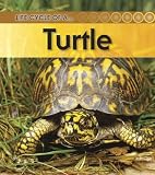 Turtle (Life Cycle of a . . .)