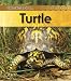 Turtle (Life Cycle of a . . .)