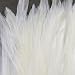 Hareline 5-7" Dyed-Over-White Strung Saddle Hackle - White