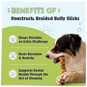 Pawstruck-Natural-7-Braided-Bully-Sticks-for-Dogs-Tough-Long-Lasting-Rawhide-Free-Low-Odor-Healthy-Single-Ingredient-Chew-Treat-for-Aggressive-Chewers-10-Count-Packaging-May-Vary - Cucciolini Doodles Pawstruck-Natural-7-Braided-Bully-Sticks-for-Dogs-Tough-Long-Lasting-Rawhide-Free-Low-Odor-Healthy-Single-Ingredient-Chew-Treat-for-Aggressive-Chewers-10-Count-Packaging-May-Vary