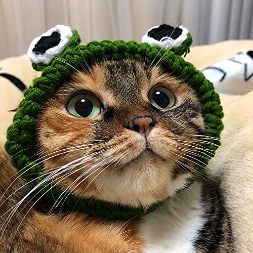 Handmade Knitting Pet Hats For Cat And Dog, Cute Frog Headband Hat Crochet Knitted Cap Big Eye Frog Cosplay Cap Pet Supplies(M) #TOP6