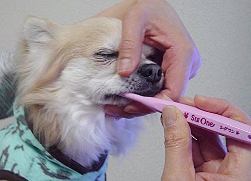 犬用口臭ケアグッズの人気おすすめランキング30選 セレクト Gooランキング 犬用口臭ケアグッズの人気おすすめランキング30選 セレクト Gooランキング
