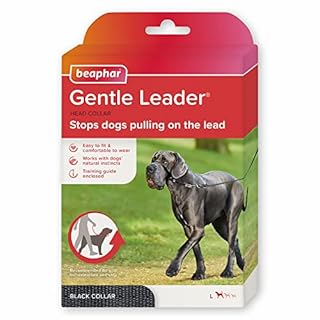 Gentle Leader/Collare a Cavezza Nero Grande (Boxer, Dobermann)