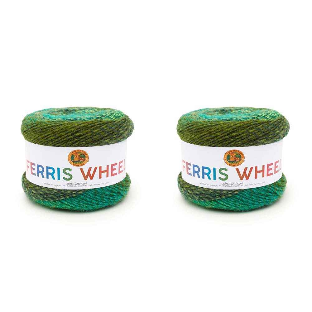 Lion Brand Yarn Company 217-603 Ferris Wheel Yarn, Evergreen, One Skein (Pack of 2)