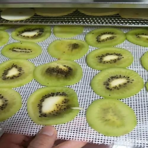 5 Stücke Silikon Dehydrator Blätter, Antihaft Frucht Dehydrator Matten, Dörrautomat kompatibel mit WMF KÜCHENminis Dörrgerät, Wiederverwendbar, Geeignet zum Trocknen von Obst, Getreide und Gemüse – Bild 6