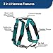 PetSafe 3-in-1 Harness - Comfortable Easy-Walk Dog Chest Harness with Front Leash Attachment to Reduce Pulling, Choking & Gagging - Dog Obedience Gear - Small - Teal