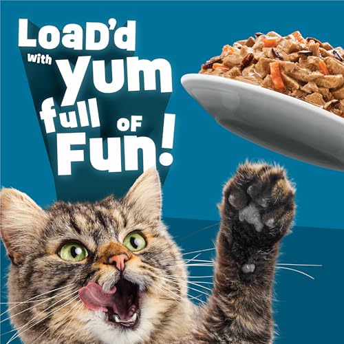 Friskies Purina Fully Load'd Wet Cat Food, Salmon, 24 Count, 5.5 oz - image 5