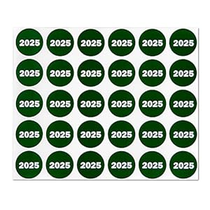 300/Pack, 300 Labels – 2025 Year Stickers – 0.75 Inch Round, Green – Color Coded 2025 Labels / 2025 Year Tabs for Book Keeping, File Folder Organization Labels