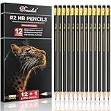 HB-Bleistifte mit Radiergummi am Ende, 12 Stück + 1 gespitzter Graphitstift, langlebig, sechseckig, Skizzierstift für Kinder, idealer Zeichenstift für Schule, Arbeit, Zuhause und Künstler
