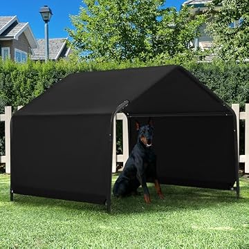 rooftop tent with dog