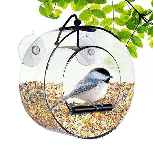 BirdMaster Window Bird Feeder - Acrylic Circular Design - Strong Suction Cups - Drain Holes - Squirrel Proof - Easy to Install & Clean – Outdoor for All Small Wild Birds [Gift-Ready Packaging]