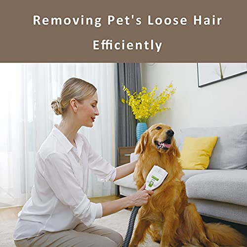 Defurry Cordless Pet Vacuum Cleaner with Grooming Brush for Dogs and Cats, Professional Shedding Tool Kit with Stainless… - Image 5