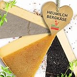 Tiroler Bauernstandl Bergkäse Variation Paket Käse [3 x 250g] Käse am Stück Käsefondue Set Käse Aufschnitt Schmelzkäse laktosefrei Käseplatte Käsefondue laktosefrei Raclette-Käse Pecorino Fondue Käse