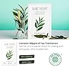 BALLONBLANC-Therapy-Relaxing-Self-Care-Face-Facial-Mask-Sheet-Set-Infused-with-Aloe-Tea-Tree-Avocado-Vitamin-Honey-Egg-White-Skin-Nutritional-Face-Masks-for-Women-Ballon-Blanc-Korean-Skin-Care BALLONBLANC | Blanc Therapy Premium Sheet Masks | Relaxing Spa Self Care Gifts | Moisturizing Aloe and Vitamin, Skin Nutritional Korean Facial Masks for All Skin Types | 6 Masks