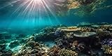 30x18inches Aquarium Background Under The Sea Sunlight Scenery Coral Reef Backdrop Terrarium Background Underwater Fish Tank Decoration Vinyl Background