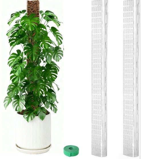 24 Inch D Shaped Plastic Pole for Moss Wrapping and Supporting For Climbing Plants in Pots and Containers (2PCs)