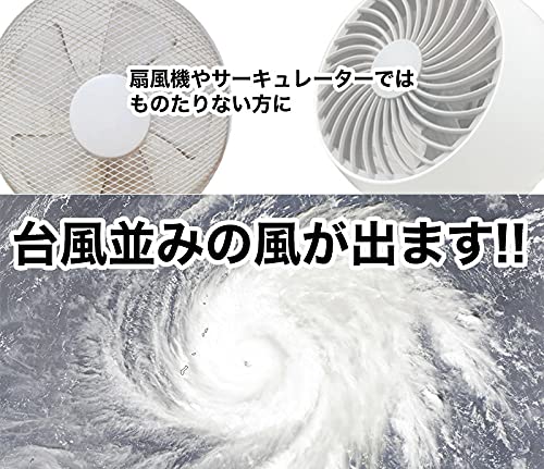 新品 THANKO ストームファンモナイト　強力送風機 超強力！台風クラスの床用送風機「ストームファンモナイト