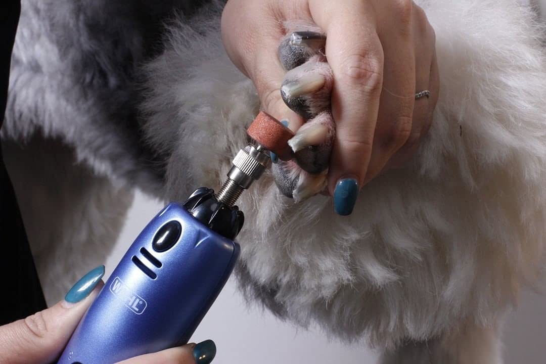 Limadora de uñas Wahl