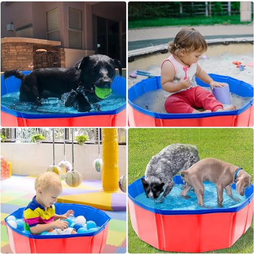 Portable Plastic Pool for Dogs, Dog Pool, 32 x 8 inch Foldable Pet Pool, Portable PVC Pet Paddling B