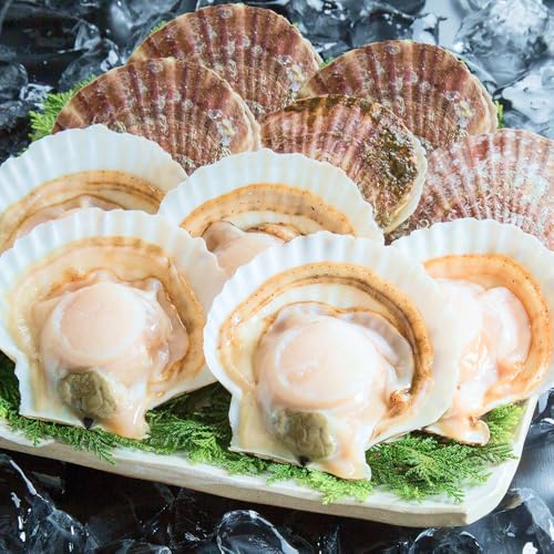 [冷凍・生食用] 殻付き帆立 10枚 - 30枚 (10枚)