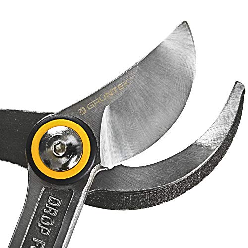 GRÜNTEK Professionelle geschmiedete Astschere X-25, 650 mm, scharfe und bequeme Bypass Baumschere mit Stoßdämpfern, Robustes und sicheres Gartenwerkzeug